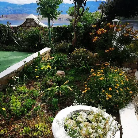 Family K&m * Pag Town