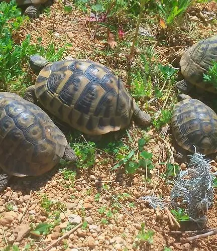 דירה Family K&m פג